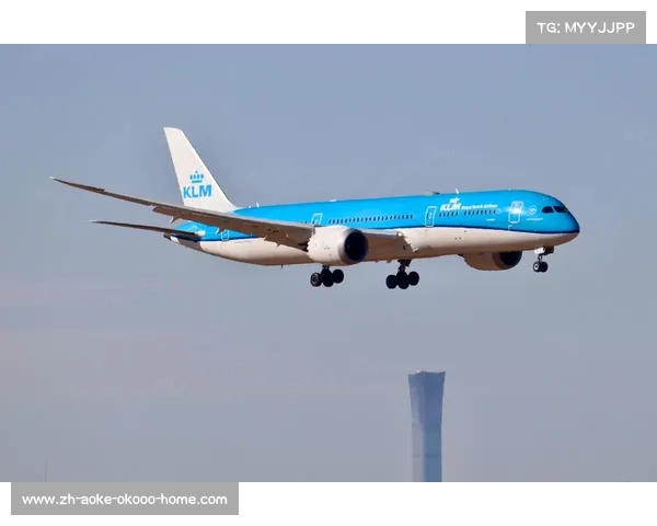 荷兰皇家航空108号客机事故调查报告